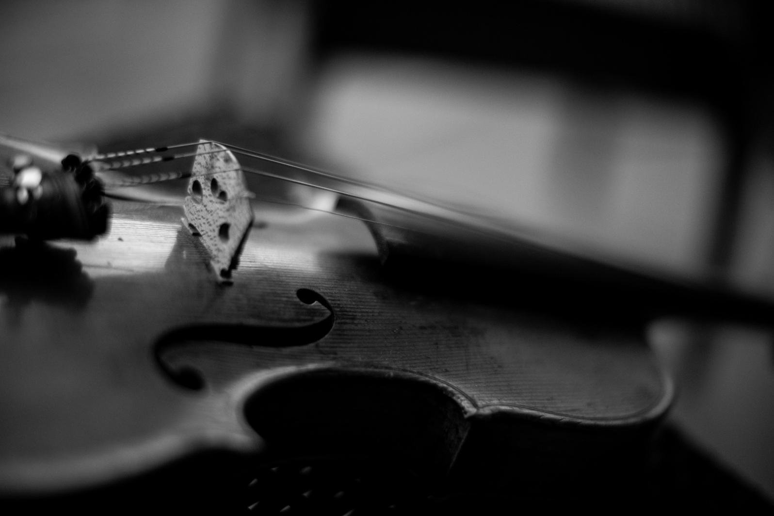 Violine in Nahaufnahme