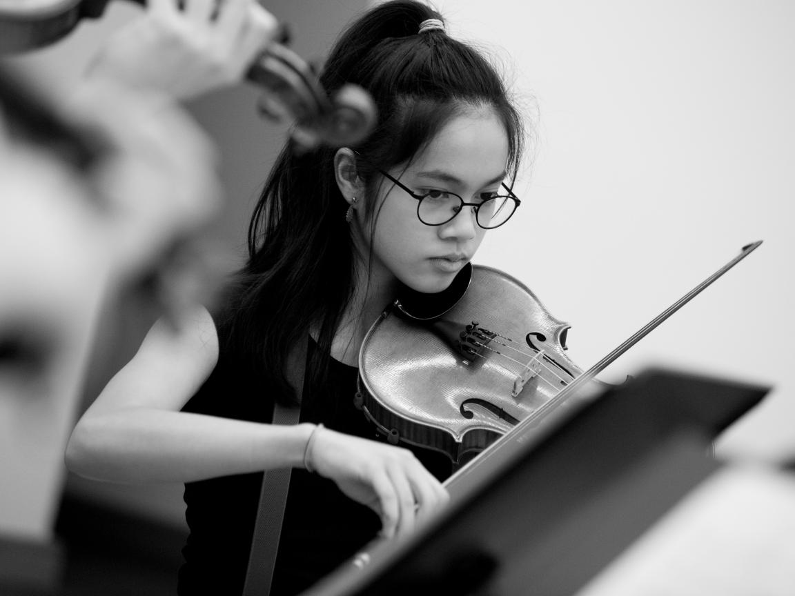 Exzellenzzirkel Violine/Viola